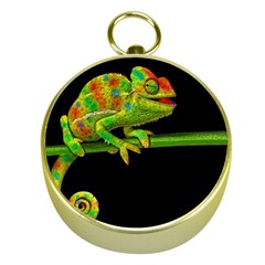 Chameleons Gold Compasses by Valentinaart