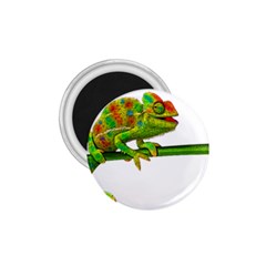 Chameleons 1 75  Magnets by Valentinaart