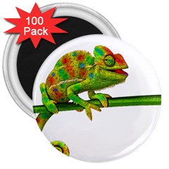 Chameleons 3  Magnets (100 Pack) by Valentinaart