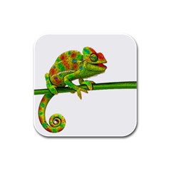 Chameleons Rubber Square Coaster (4 Pack)  by Valentinaart