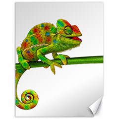 Chameleons Canvas 18  X 24   by Valentinaart