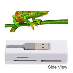 Chameleons Memory Card Reader (stick)  by Valentinaart