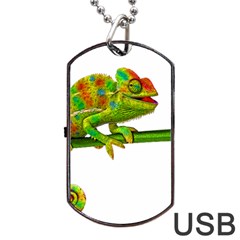 Chameleons Dog Tag Usb Flash (one Side) by Valentinaart