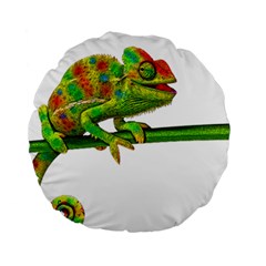 Chameleons Standard 15  Premium Round Cushions by Valentinaart