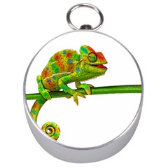 Chameleons Silver Compasses by Valentinaart