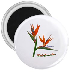 Bird Of Paradise 3  Magnets by Valentinaart