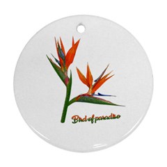 Bird Of Paradise Ornament (round) by Valentinaart