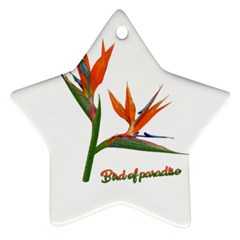 Bird Of Paradise Ornament (star) by Valentinaart