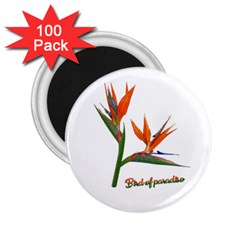 Bird Of Paradise 2 25  Magnets (100 Pack)  by Valentinaart