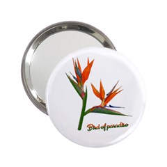 Bird Of Paradise 2 25  Handbag Mirrors by Valentinaart