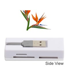 Bird Of Paradise Memory Card Reader (stick)  by Valentinaart