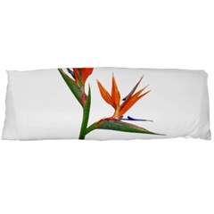 Bird Of Paradise Body Pillow Case (dakimakura) by Valentinaart