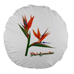 Bird Of Paradise Large 18  Premium Round Cushions by Valentinaart