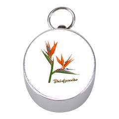 Bird Of Paradise Mini Silver Compasses by Valentinaart