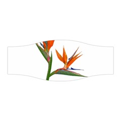 Bird Of Paradise Stretchable Headband