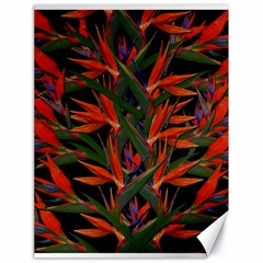 Bird Of Paradise Canvas 18  X 24   by Valentinaart