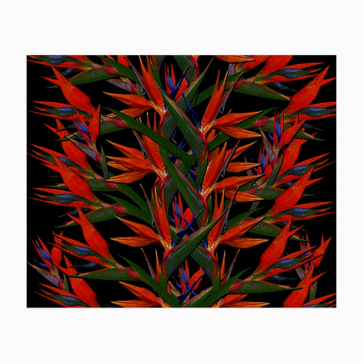 Bird Of Paradise Small Glasses Cloth (2-Side)