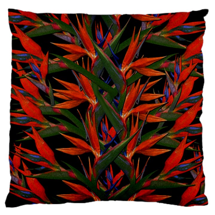 Bird Of Paradise Large Cushion Case (Two Sides)