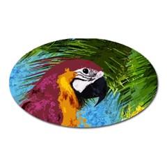 Ara Oval Magnet by Valentinaart