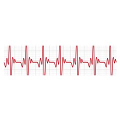 Cardiogram Vary Heart Rate Perform Line Red Plaid Wave Waves Chevron Satin Scarf (oblong) by Mariart