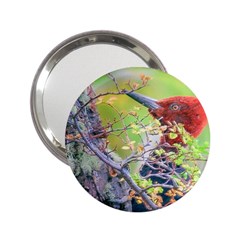 Woodpecker At Forest Pecking Tree, Patagonia, Argentina 2 25  Handbag Mirrors by dflcprints