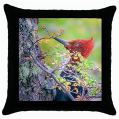 Woodpecker At Forest Pecking Tree, Patagonia, Argentina Throw Pillow Case (black) by dflcprints