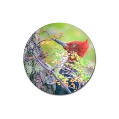 Woodpecker At Forest Pecking Tree, Patagonia, Argentina Magnet 3  (round) by dflcprints