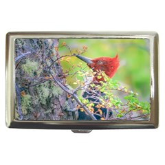 Woodpecker At Forest Pecking Tree, Patagonia, Argentina Cigarette Money Cases by dflcprints