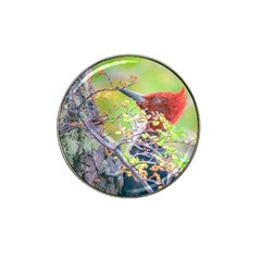 Woodpecker At Forest Pecking Tree, Patagonia, Argentina Hat Clip Ball Marker by dflcprints