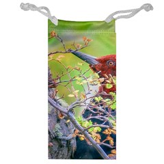 Woodpecker At Forest Pecking Tree, Patagonia, Argentina Jewelry Bag by dflcprints