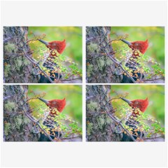 Woodpecker At Forest Pecking Tree, Patagonia, Argentina Belt Buckles by dflcprints