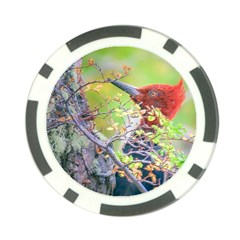 Woodpecker At Forest Pecking Tree, Patagonia, Argentina Poker Chip Card Guard by dflcprints