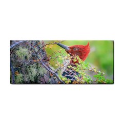 Woodpecker At Forest Pecking Tree, Patagonia, Argentina Cosmetic Storage Cases by dflcprints