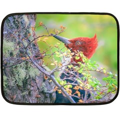 Woodpecker At Forest Pecking Tree, Patagonia, Argentina Fleece Blanket (mini) by dflcprints