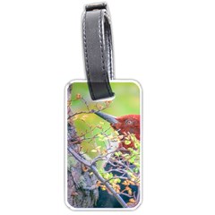 Woodpecker At Forest Pecking Tree, Patagonia, Argentina Luggage Tags (one Side)  by dflcprints