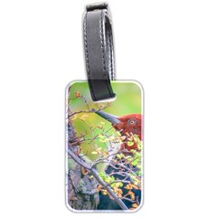 Woodpecker At Forest Pecking Tree, Patagonia, Argentina Luggage Tags (two Sides) by dflcprints