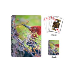 Woodpecker At Forest Pecking Tree, Patagonia, Argentina Playing Cards (mini)  by dflcprints