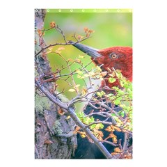 Woodpecker At Forest Pecking Tree, Patagonia, Argentina Shower Curtain 48  X 72  (small)  by dflcprints