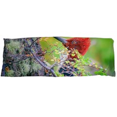 Woodpecker At Forest Pecking Tree, Patagonia, Argentina Body Pillow Case (dakimakura) by dflcprints