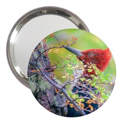 Woodpecker At Forest Pecking Tree, Patagonia, Argentina 3  Handbag Mirrors by dflcprints