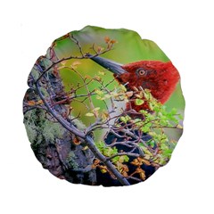 Woodpecker At Forest Pecking Tree, Patagonia, Argentina Standard 15  Premium Round Cushions by dflcprints