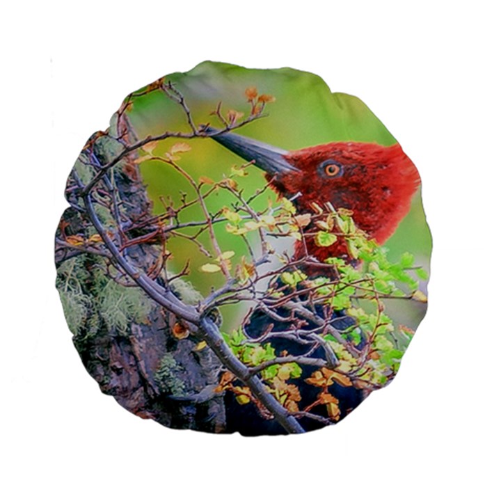 Woodpecker At Forest Pecking Tree, Patagonia, Argentina Standard 15  Premium Round Cushions