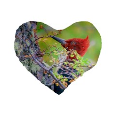 Woodpecker At Forest Pecking Tree, Patagonia, Argentina Standard 16  Premium Heart Shape Cushions by dflcprints