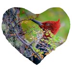 Woodpecker At Forest Pecking Tree, Patagonia, Argentina Large 19  Premium Heart Shape Cushions Front