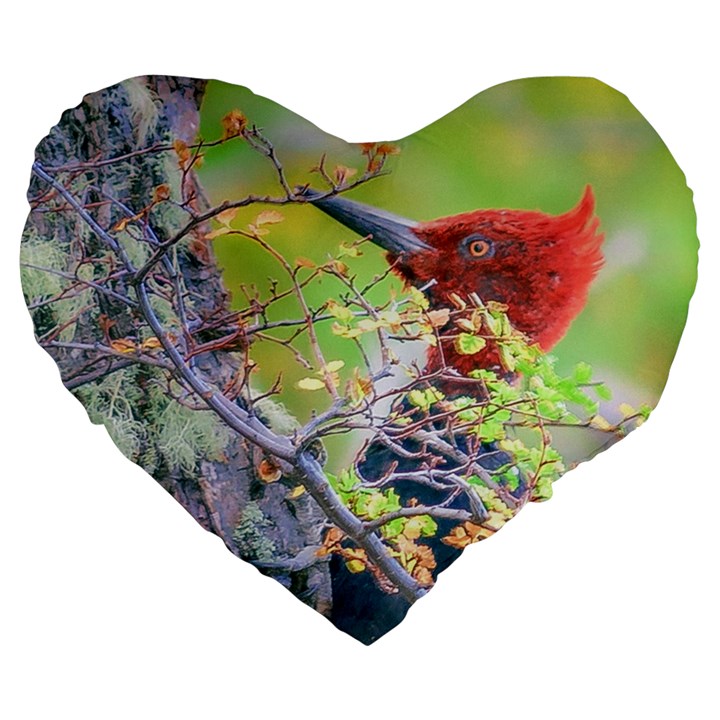 Woodpecker At Forest Pecking Tree, Patagonia, Argentina Large 19  Premium Heart Shape Cushions