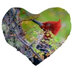 Woodpecker At Forest Pecking Tree, Patagonia, Argentina Large 19  Premium Heart Shape Cushions Back