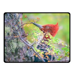 Woodpecker At Forest Pecking Tree, Patagonia, Argentina Double Sided Fleece Blanket (small)  by dflcprints