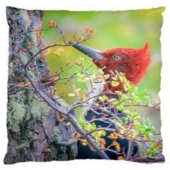 Woodpecker At Forest Pecking Tree, Patagonia, Argentina Standard Flano Cushion Case (one Side) by dflcprints