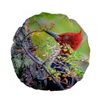 Woodpecker At Forest Pecking Tree, Patagonia, Argentina Standard 15  Premium Flano Round Cushions Front