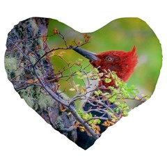 Woodpecker At Forest Pecking Tree, Patagonia, Argentina Large 19  Premium Flano Heart Shape Cushions by dflcprints